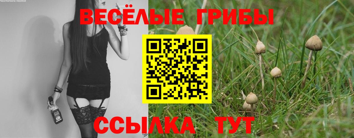 как найти закладки  Галлюциногенные грибы GOLDEN TEACHER  Вход с VPN  Грозный 